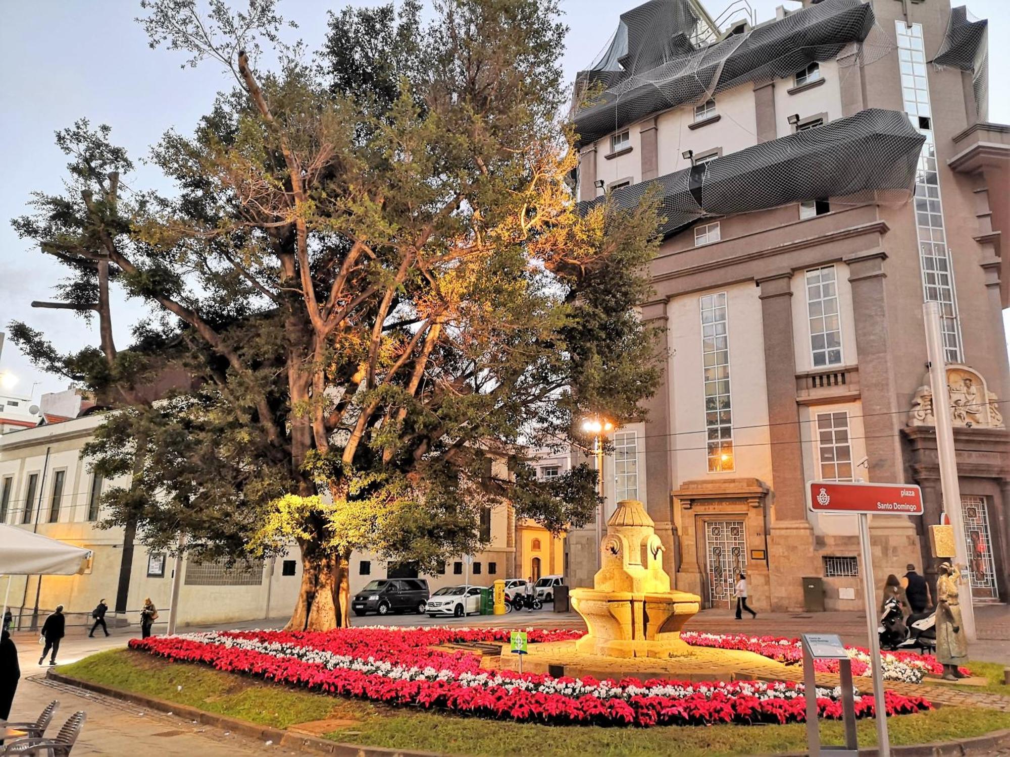 Suite Wagner ซานตาครูซ เด เตเนริเฟ ภายนอก รูปภาพ